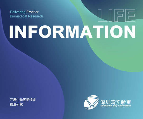 宜興VI視覺設計_專業創意品牌形象視覺設計服務