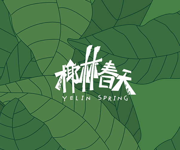 溫州產品VI設計_完美展現品質與創新