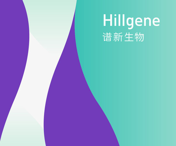 內衣品牌VI設計指南_打造獨特高品質風尚